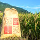 八幡平地域経営公社