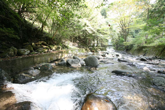 近くの風景