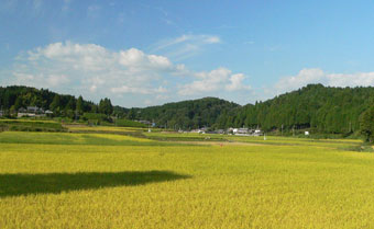 田園風景