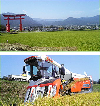 信州むらやま農園