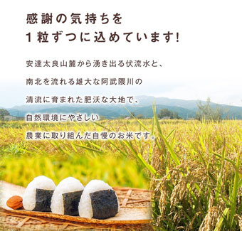 こしひかり