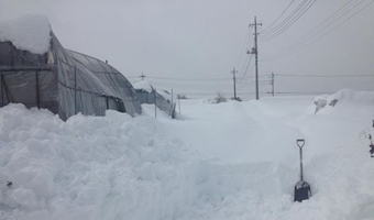 大雪の被害