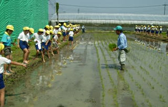 野本ファーム