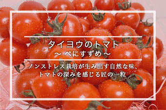 タイヨウのトマト